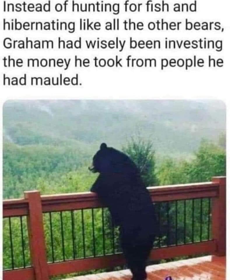 20 Bear Memes That Are Unbearably Hilarious and Adorable 11 Instead of hunting - bear memes