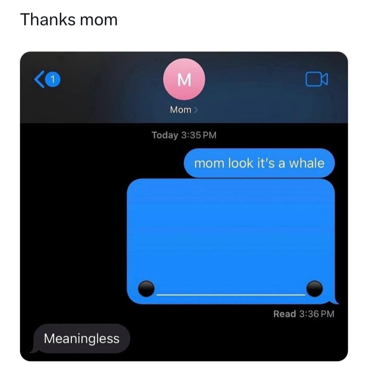 20 Memes That Will Keep You Smiling Silently 8 Its a whale