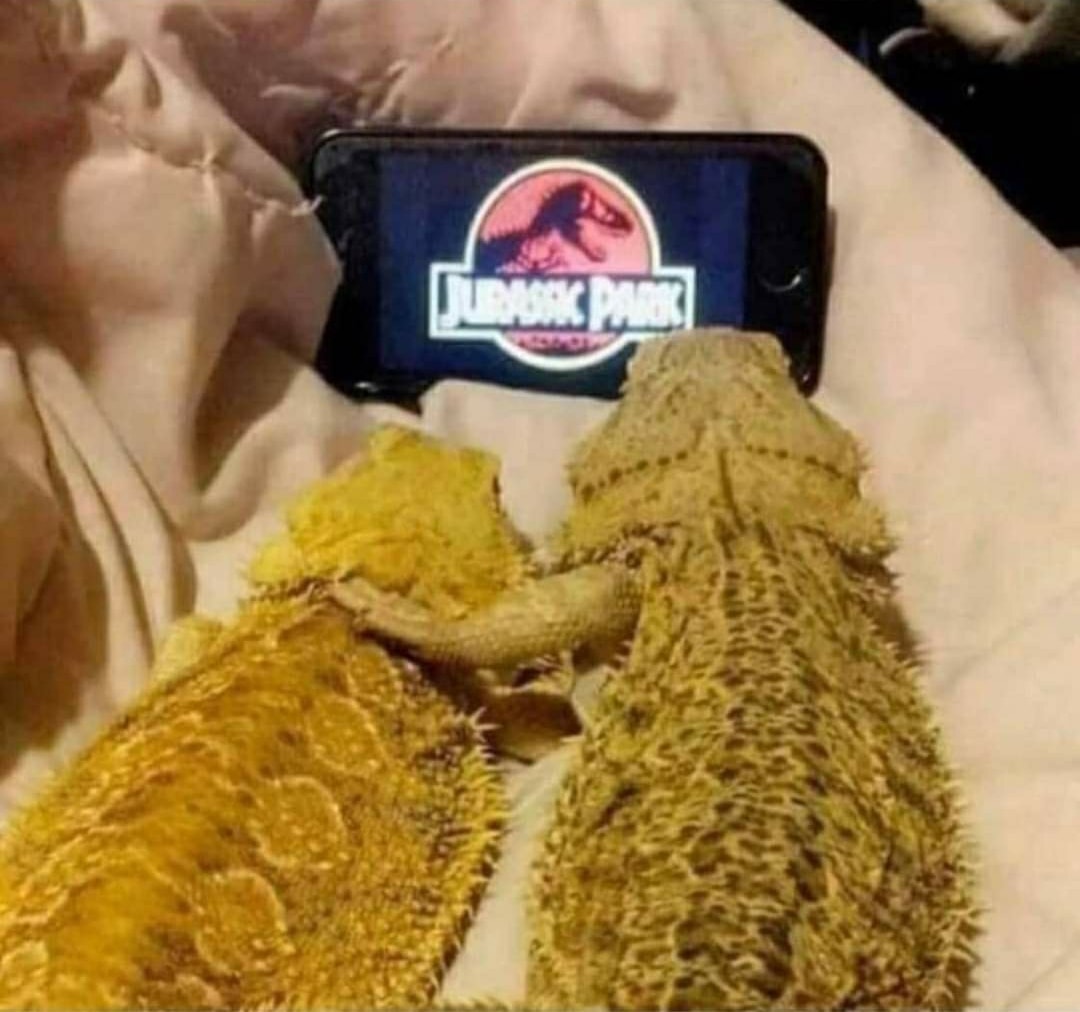 20 Unusual Animal Pics That Will Make Your Jaw Drop 13 Jurassic park - unusual animal pics