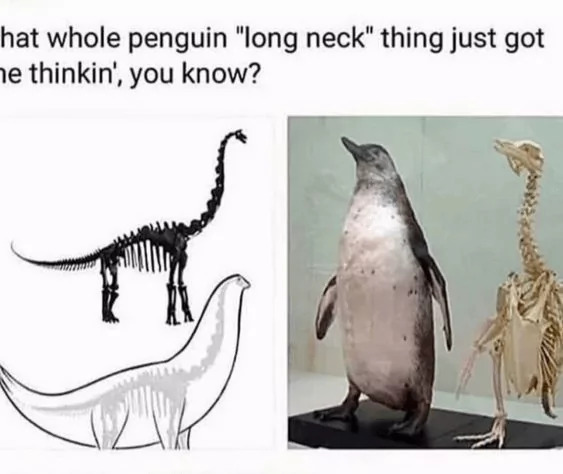 24 Penguin Memes to Dive into a Sea of Hilarity on International Penguin Day 24 Long neck