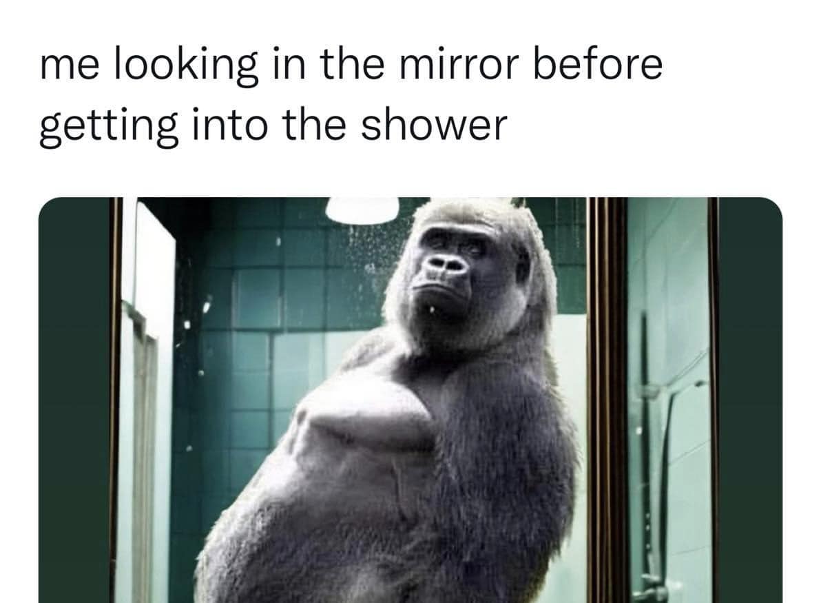 15 Memes to Make You Laugh at the Absurdity of It All 5 Looking in the mirror