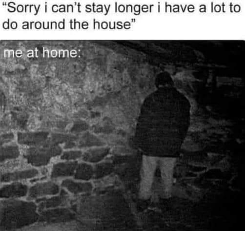 20 Memes: Your Daily Dose of Randomness & Ridiculousness 19 Me at home