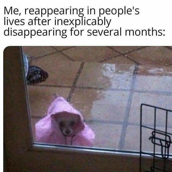 25 Memes: A Delectable Delight for Your Daily Dose of Dopamine 22 Me reappearing