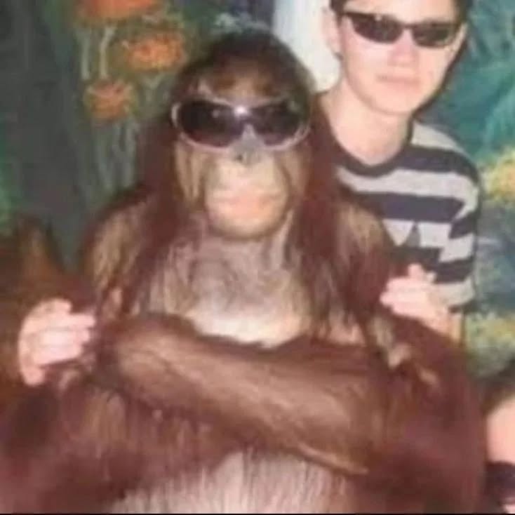 30 Cursed Pics to Infuse Your Day with Weird Vibes, As Shared On This IG Page 30 Monkey with glasses