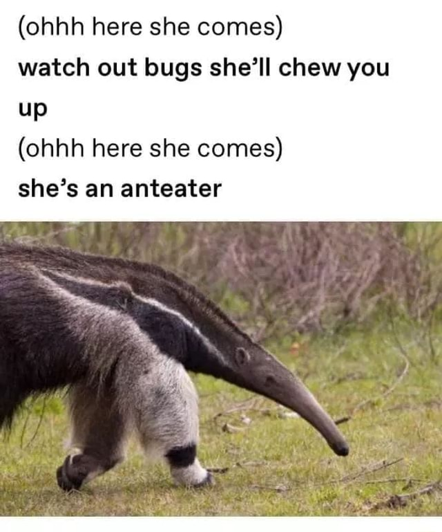 20 Wholesome Memes to Brighten Your Day and Warm Your Heart 16 Ogg here she comes