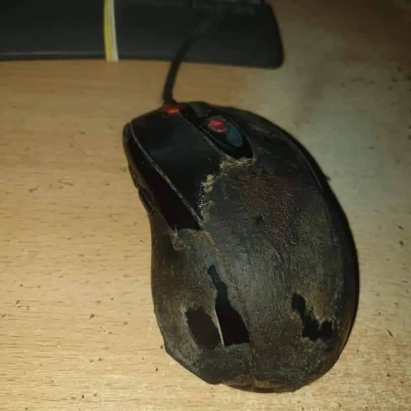 30 Cursed Pics to Infuse Your Day with Weird Vibes, As Shared On This IG Page 25 Old Mouse - cursed pics