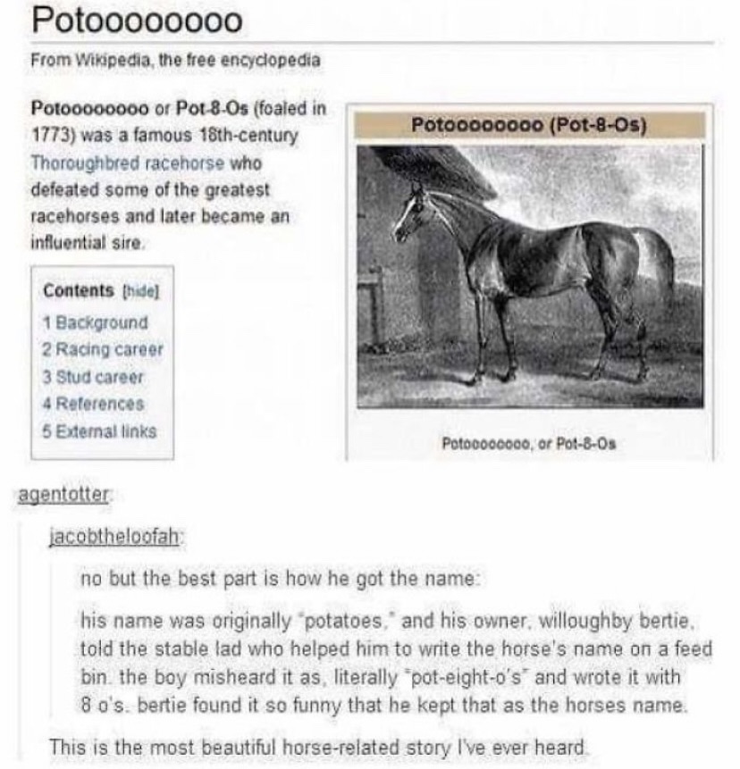 30 Funny Typos That Created Unexpected Humor 18 Potooo - funny typos
