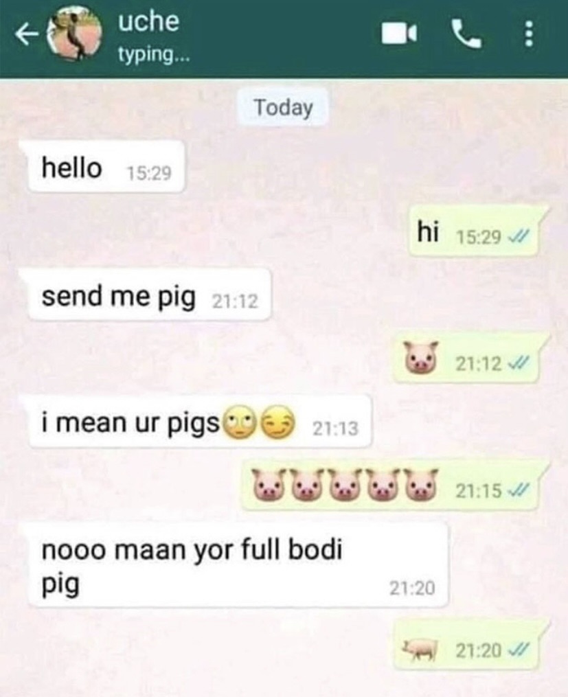 30 Funny Typos That Created Unexpected Humor 20 Send me pig - funny typos