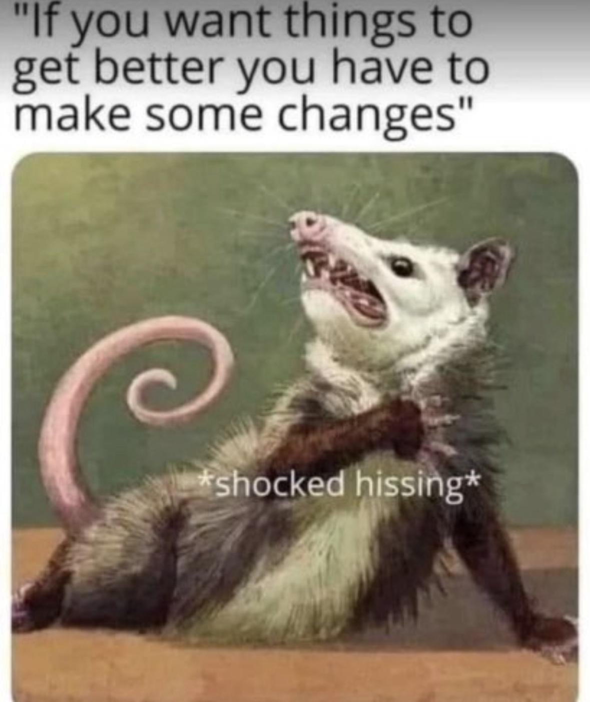 25 Trauma Memes to Make You Laugh Through the Pain 15 Shocked hissing - trauma memes