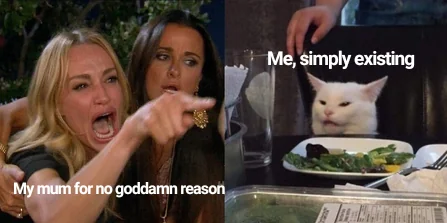24 Insane Parents Memes That Illustrate the Hilarious Side of Unfair Parenting 23 Simply existing