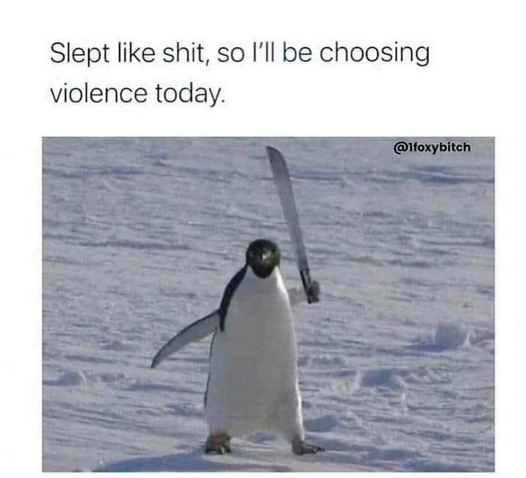 24 Penguin Memes to Dive into a Sea of Hilarity on International Penguin Day 14 Slept like shit