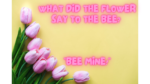 Spring Jokes - FG