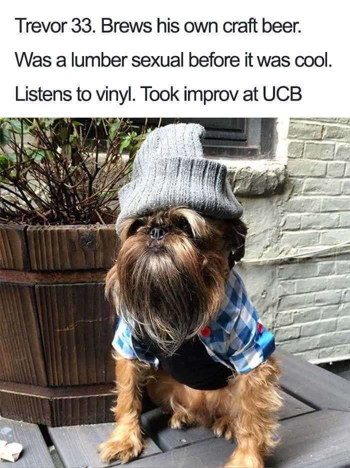 Laugh Riot: 10 Hilarious Memes to Brighten Your Day 9 Trevor 33 - hilarious memes