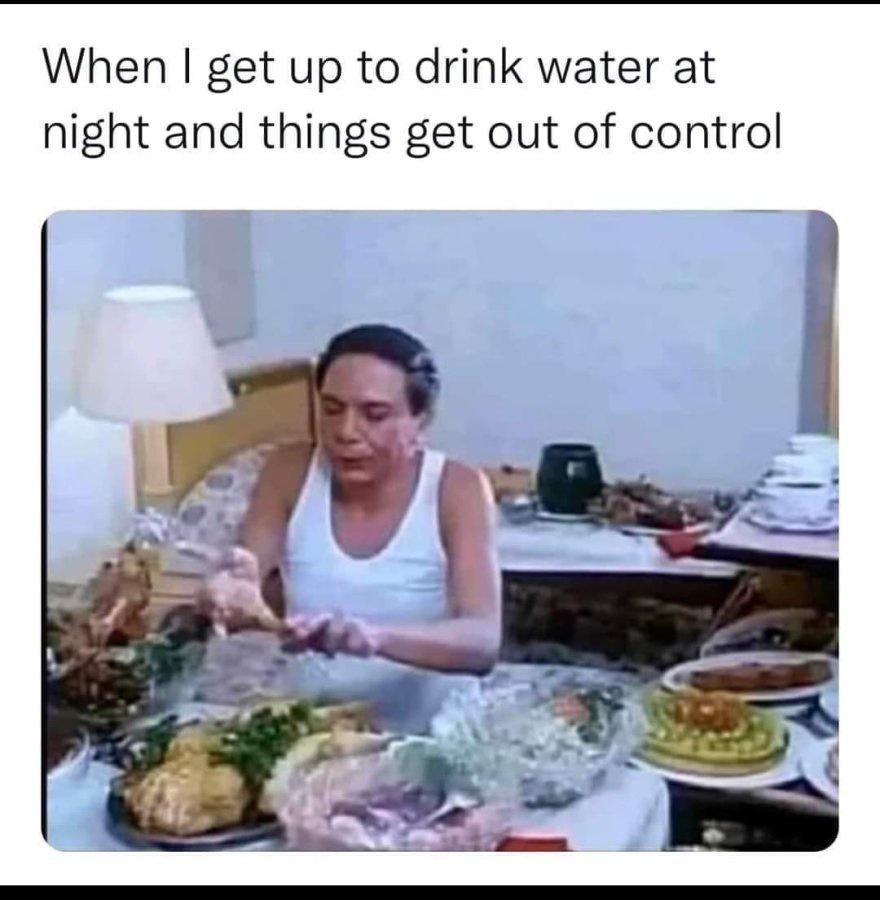 25 Memes to Rescue You from the Monotony of Adulting 14 When I get up to drink water