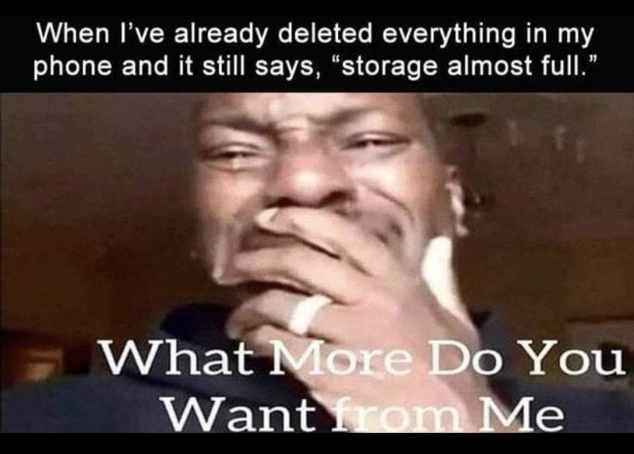 25 Memes to Rescue You from the Monotony of Adulting 15 When ive already deleted everything