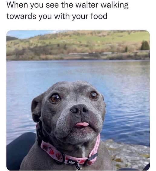 20 Wholesome Memes to Brighten Your Day and Warm Your Heart 22 When you see the waiter