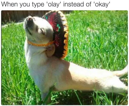 20 Hilarious Memes for Adults Unwinding on Saturdays and Sundays 20 When you type olay