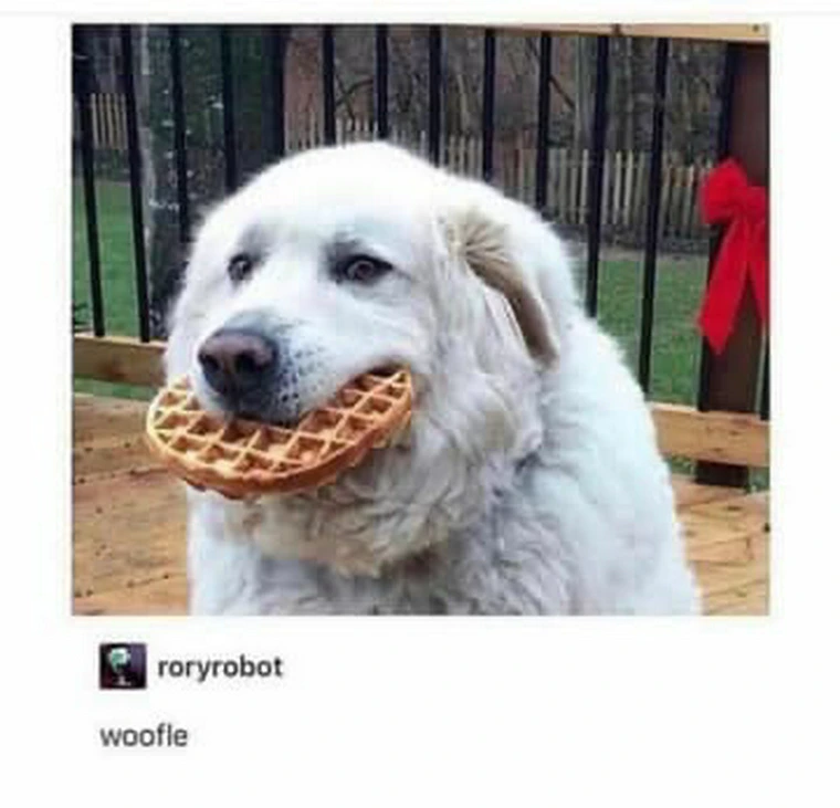 35 Dog Memes That Will Make You Laugh And Reduce Stress 30 Woofle