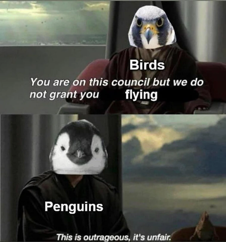 24 Penguin Memes to Dive into a Sea of Hilarity on International Penguin Day 17 You are on this council
