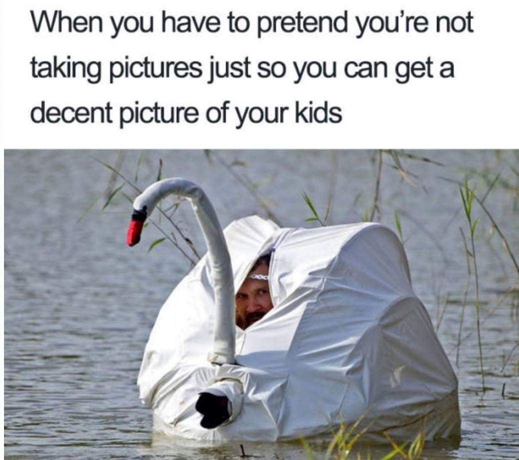 35 Funny Parenting Struggles That Are All Too True 30 Youre not taking pictures