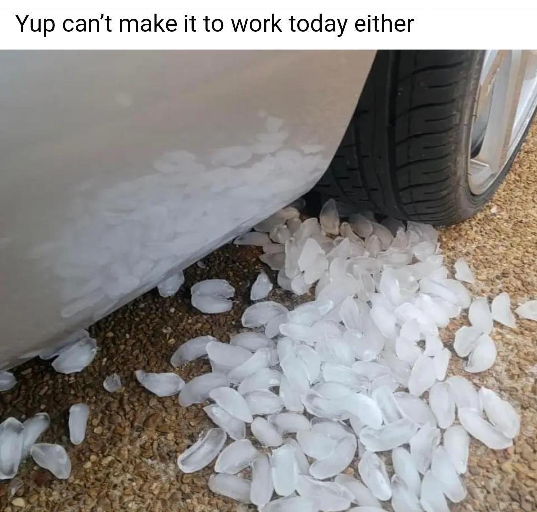 20 Random Laughs to Break Free from Everyday Drudgery 3 cant make it to work - random laughs