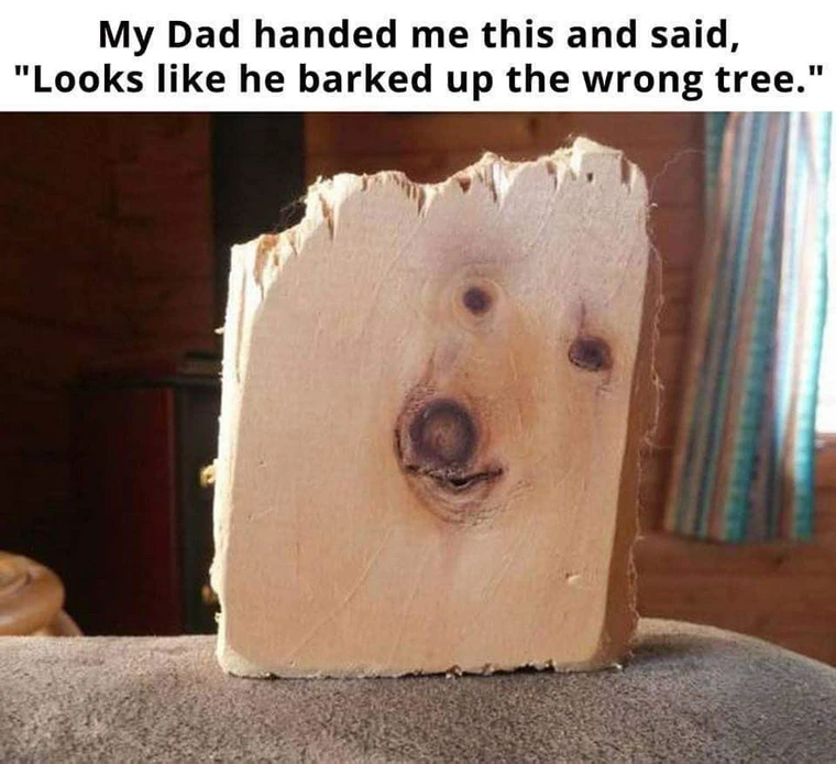 35 Dog Memes That Will Make You Laugh And Reduce Stress 26 dad handed me this