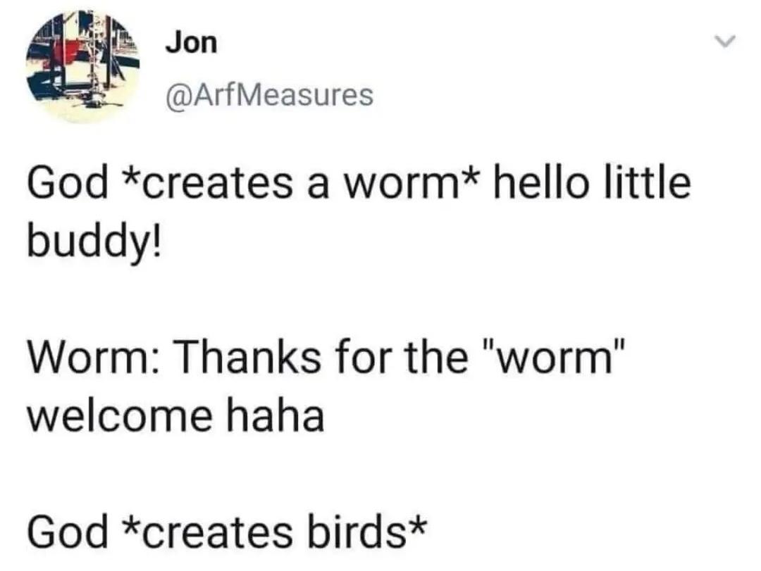 15 Luscious Memes for Every Sense of Humor 5 god creates bird - luscious memes