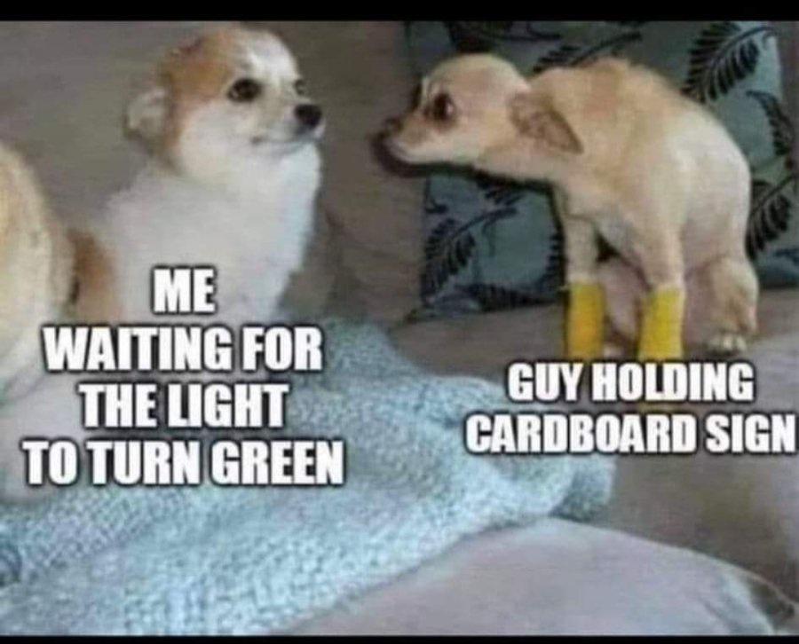 25 Memes to Rescue You from the Monotony of Adulting 2 guy holding cardboard sign