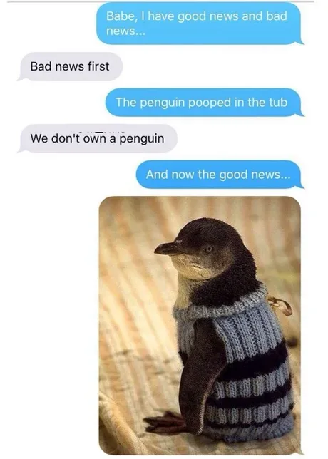 24 Penguin Memes to Dive into a Sea of Hilarity on International Penguin Day 6 i have a good new and bad news