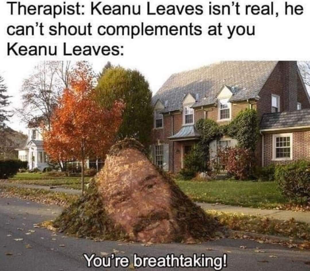 20 Memes That Will Keep You Smiling Silently 18 keanu leavs