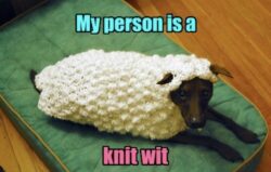 Knitting Math Meme 23 Hilarious Knitting Memes That Will Entangle You In Laughter - Funny