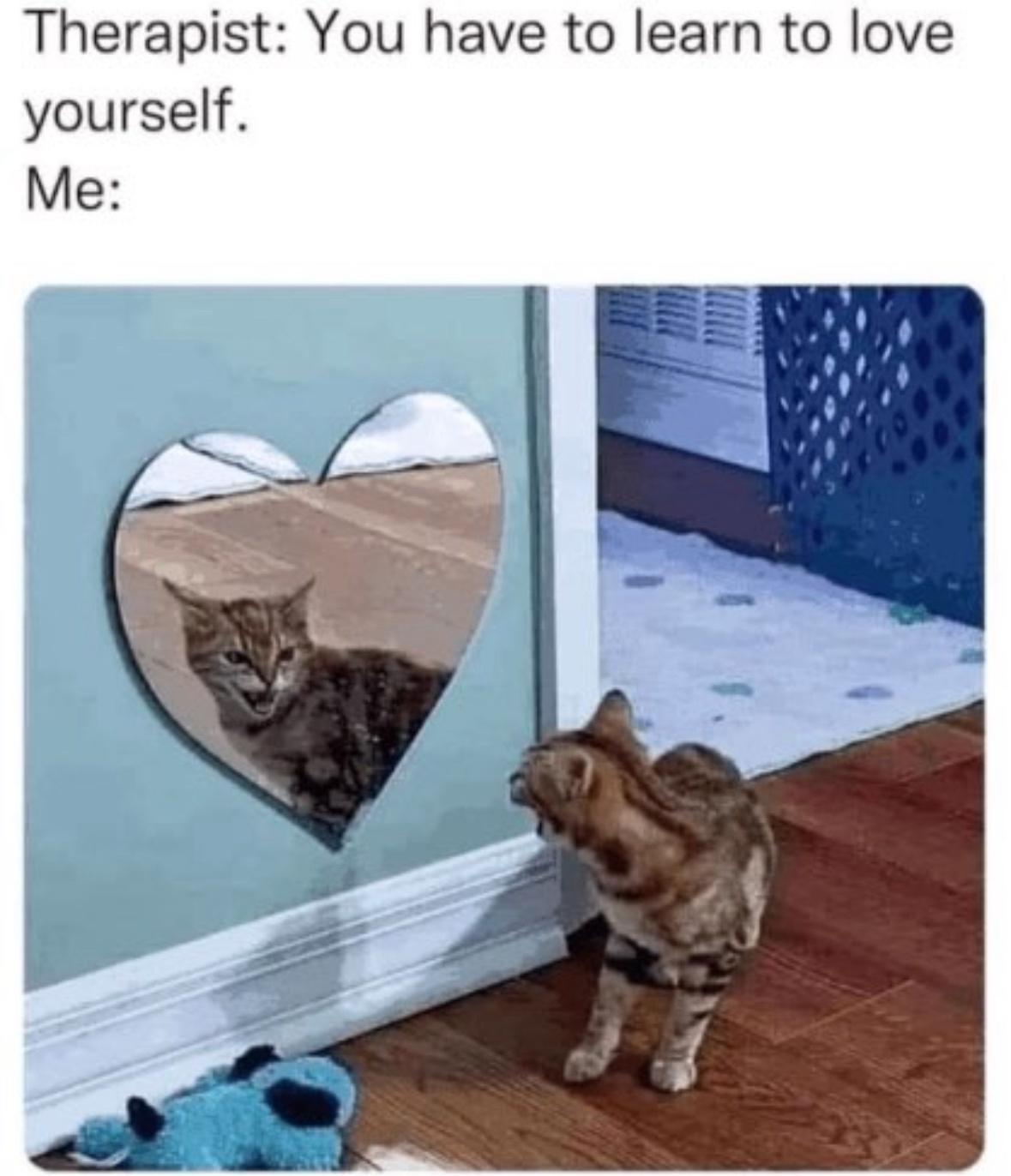 25 Trauma Memes to Make You Laugh Through the Pain 10 learn to love yourself - trauma memes