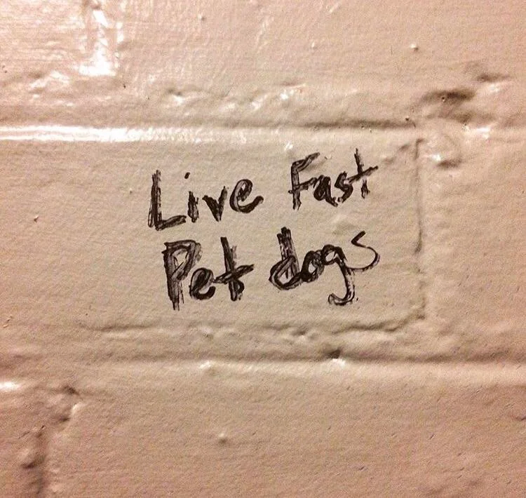 45 Funny Writings You Will Find In Public Bathrooms 39 live fast