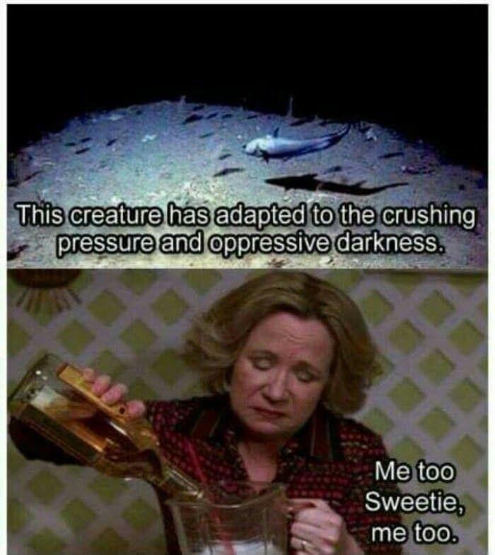 25 Memes Tailored for a Quick Break 5 me too sweetie