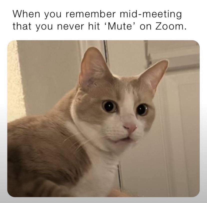 25 Memes That Turn Laughter Up to Eleven 25 mid meeting