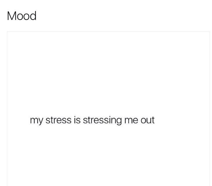 25 Funny Texts That Went from Normal to Nonsense 14 my stress is stressing me out - funny texts