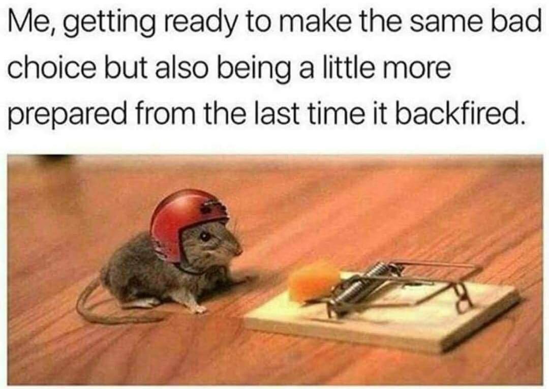 25 Memes Tailored for a Quick Break 12 same bad choice