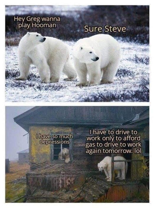 20 Bear Memes That Are Unbearably Hilarious and Adorable 19 wanna play human - bear memes