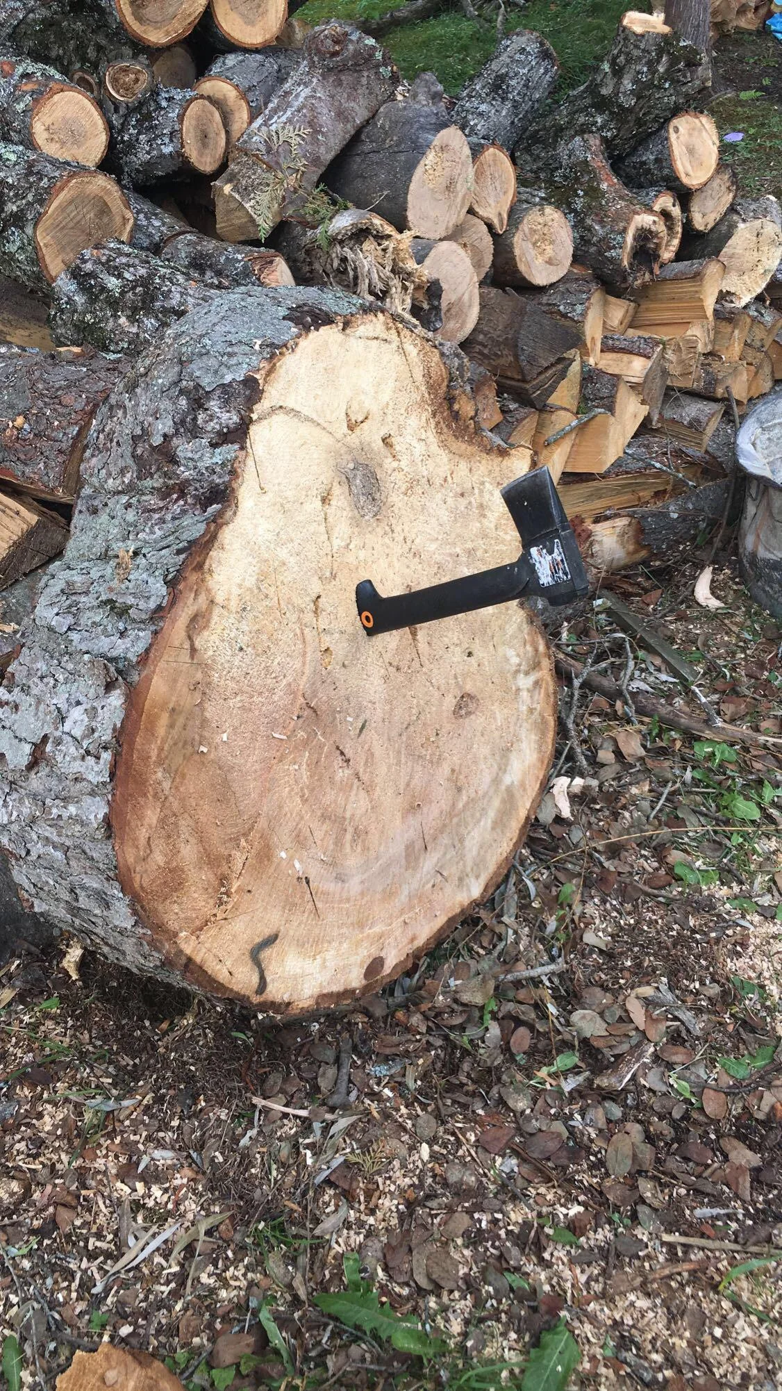 22 Task Failed Successfully Memes That Nail the Art of Irony 21 went axe throwing in our yard and yeah v0 veiojz3a8bk91.jpg