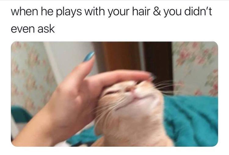 25 Memes Tailored for a Quick Break 16 when he plays with your hair