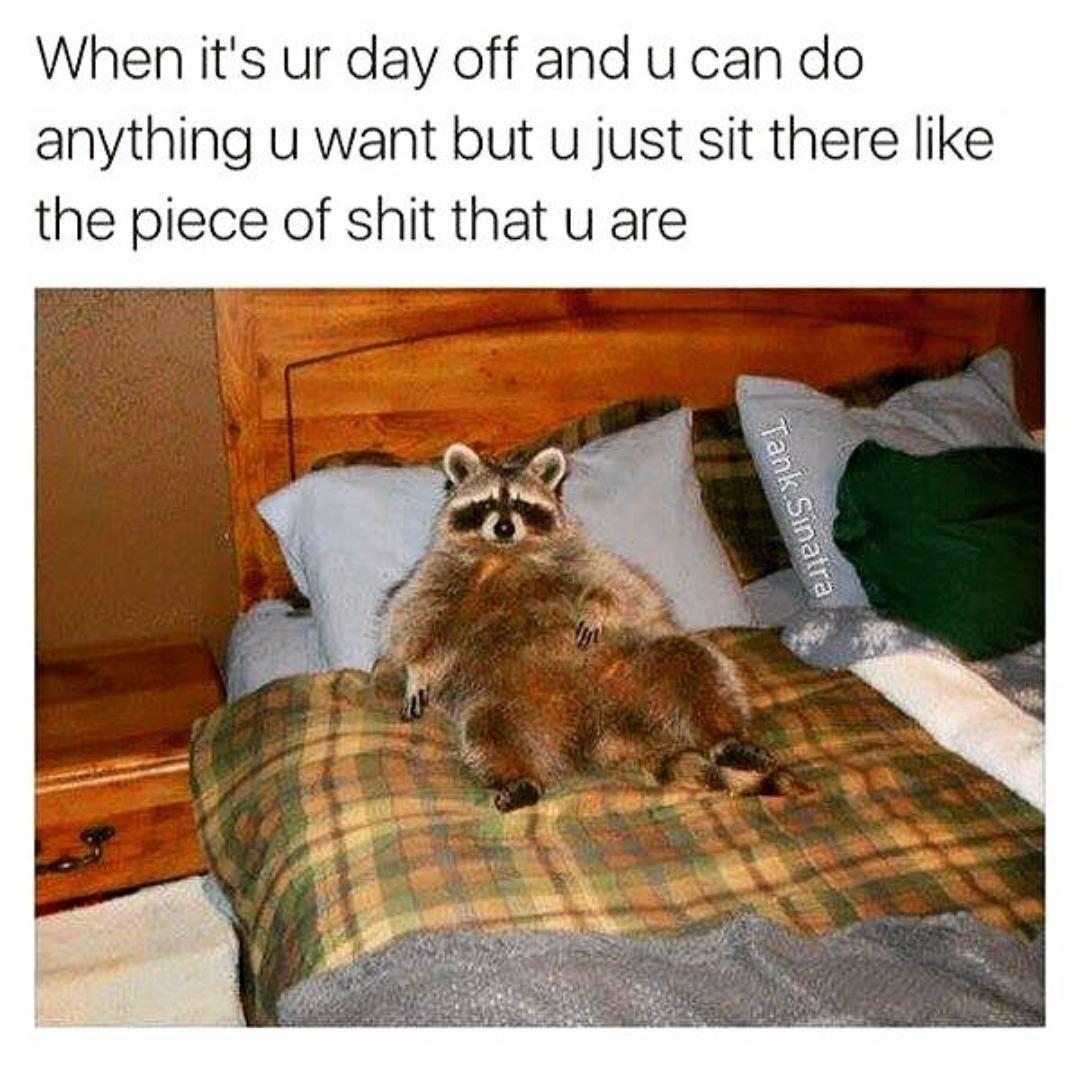 25 Memes Tailored for a Quick Break 17 when its your day off