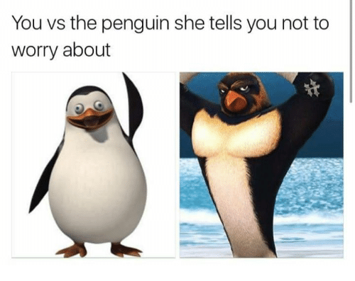 24 Penguin Memes to Dive into a Sea of Hilarity on International Penguin Day 19 you vs the penguin