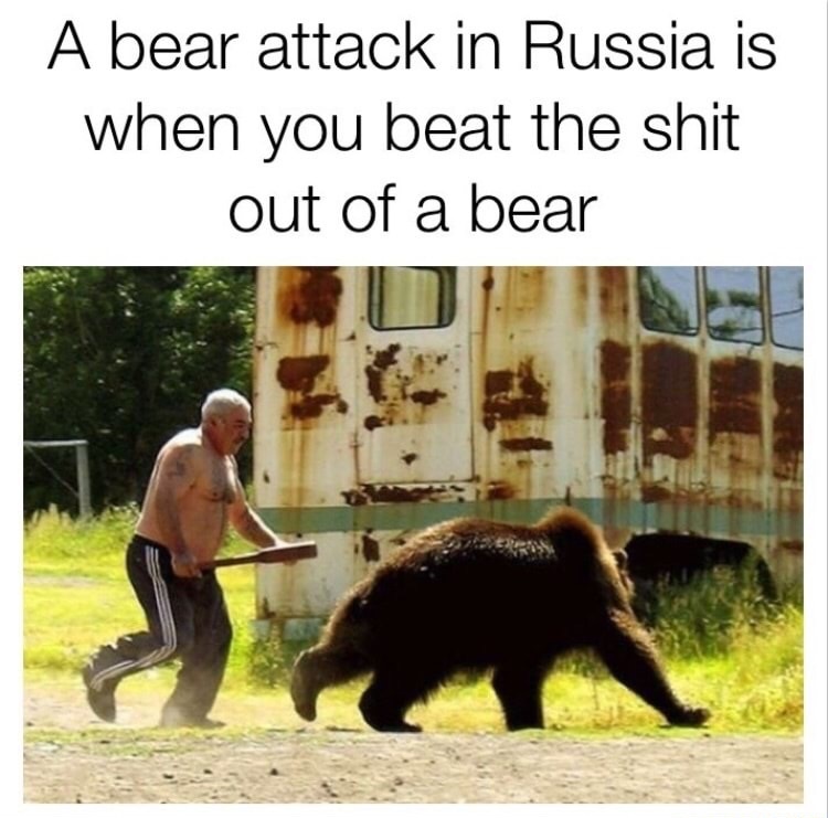 25 Dumb Memes That Will Make You Laugh Anyway 21 A bear attack
