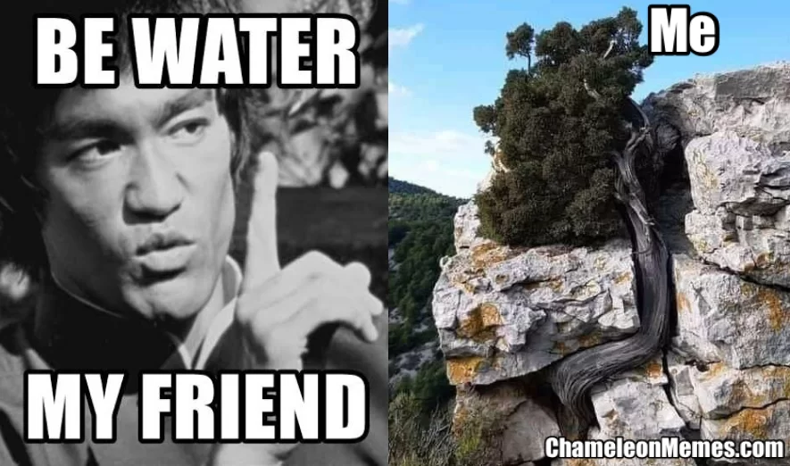 20 Water Memes to Dive into this World Water Day 4 Be water my friend - water memes