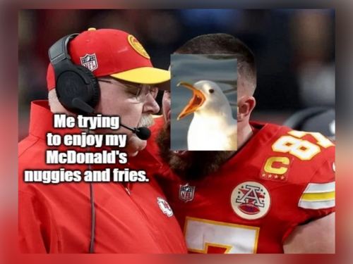 Birding Memes - FG.png
