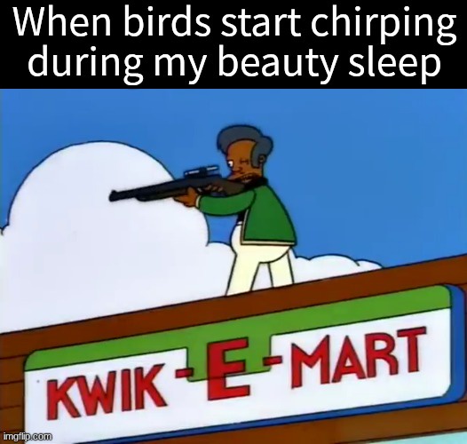 24 Best Sleep Memes for World Sleep Day 24 Birds start chirping