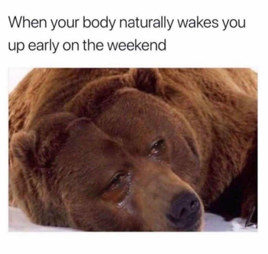 15 Seriously Funny Memes for a Good Time 2 Body wakes you up - seriously funny memes