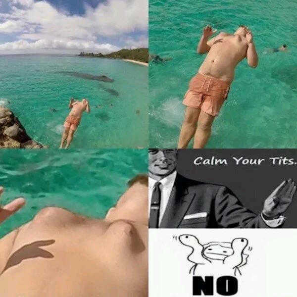 20 Entertaining Memes for a Quick Laugh Break 2 Calm - Entertaining Memes