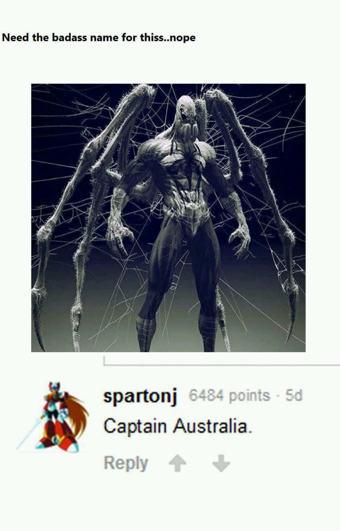 20 Entertaining Memes for a Quick Laugh Break 3 Captain Australia - Entertaining Memes