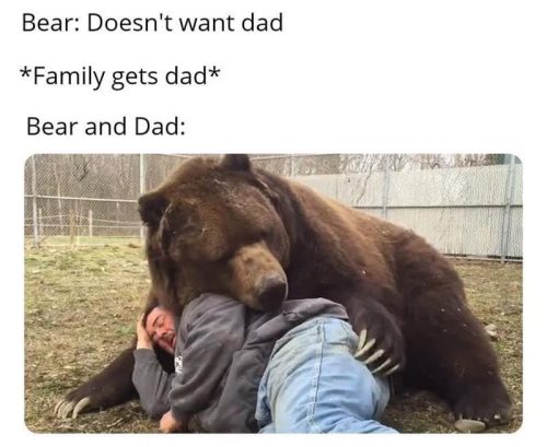 20 Bear Memes That Are Unbearably Hilarious and Adorable 23 Doesnt want dad
